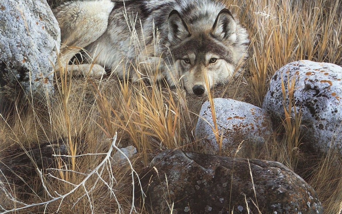 Анималист Карл Брендерс