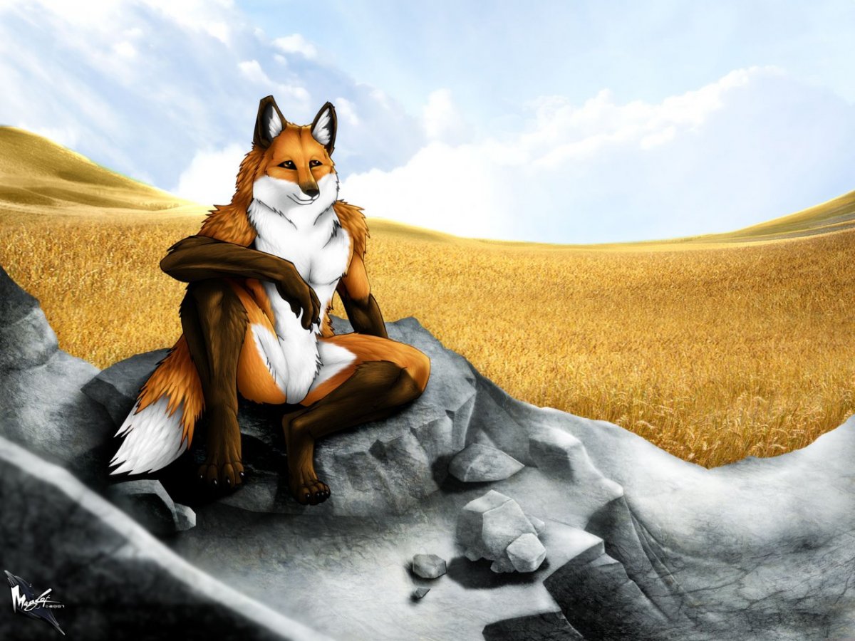 Лиса в одежде человека