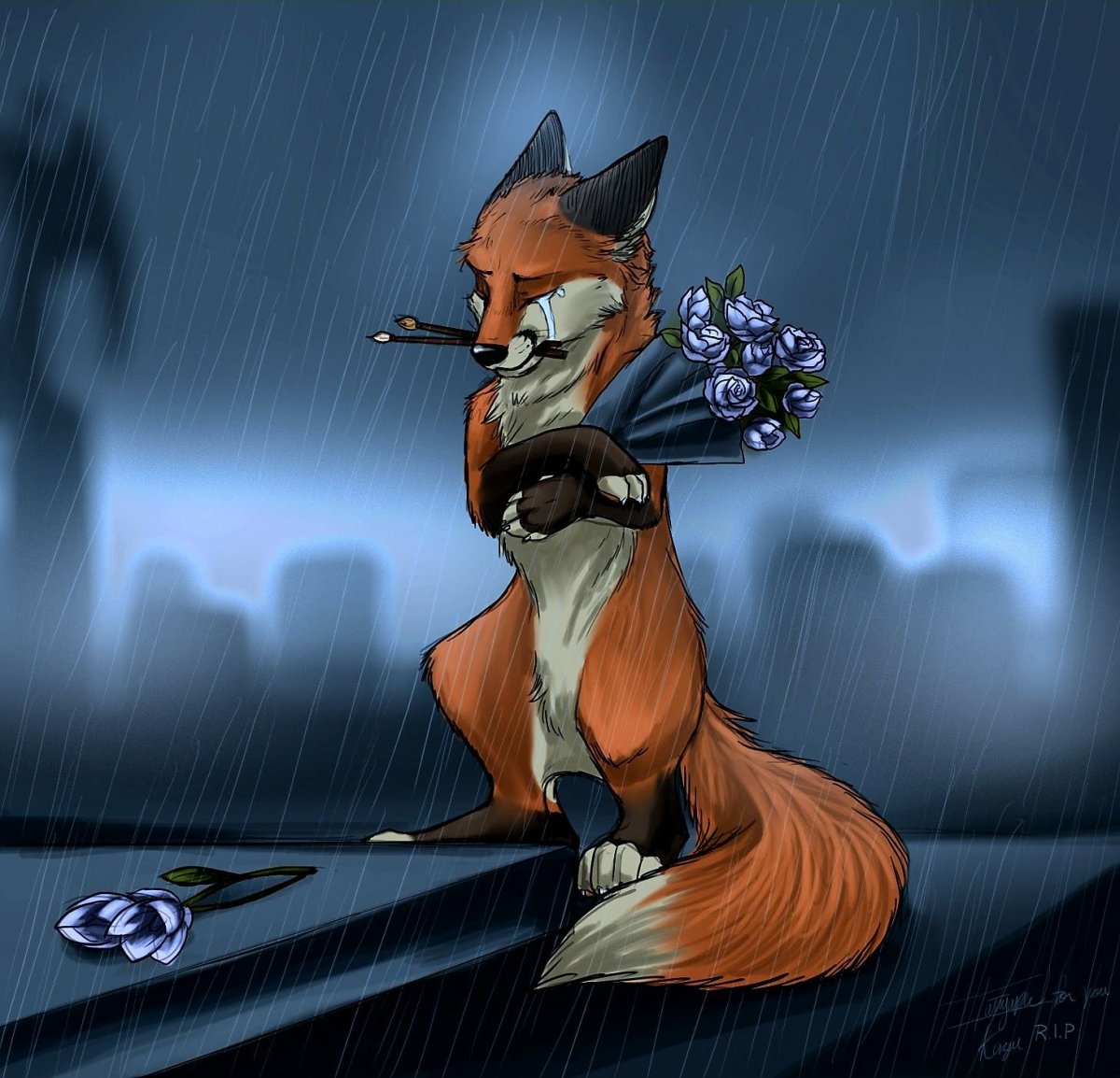 Фурри Лис баскетбол