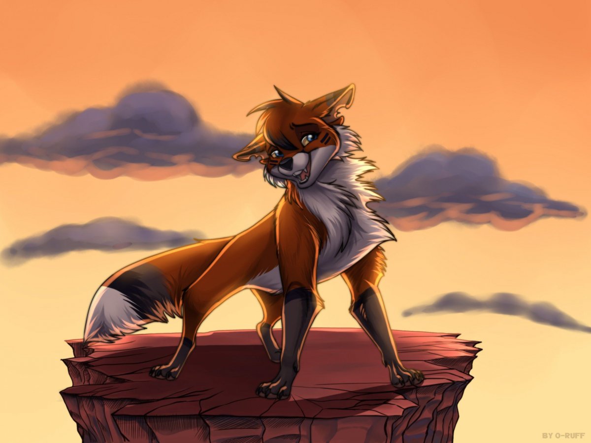 Лис одиночка