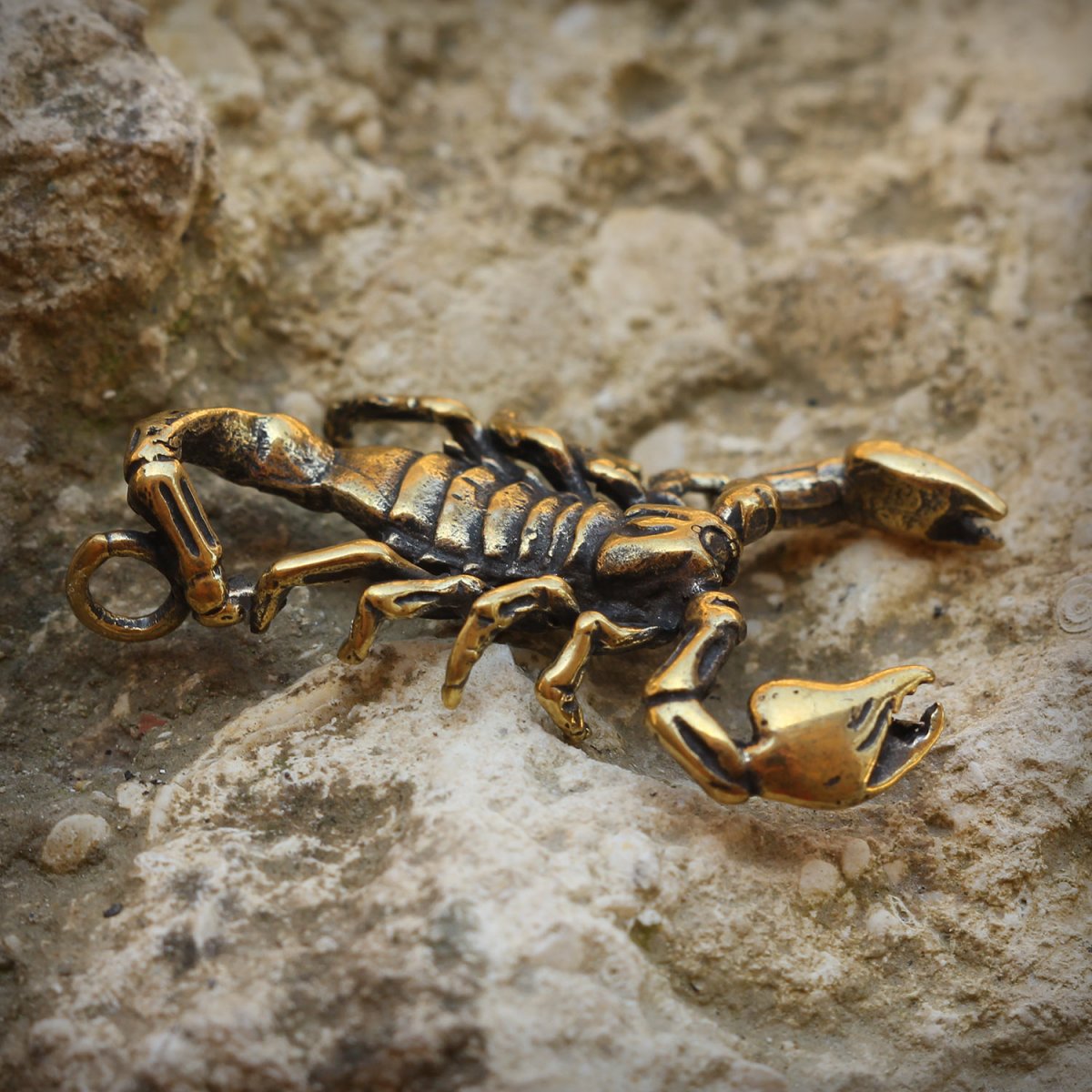 Морские ракообразные