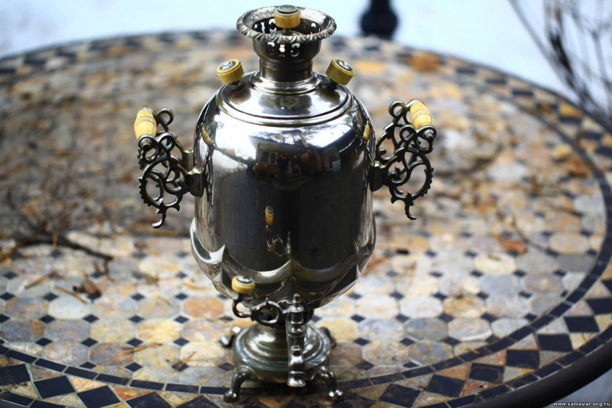 Пауки нитевики средней полосы России