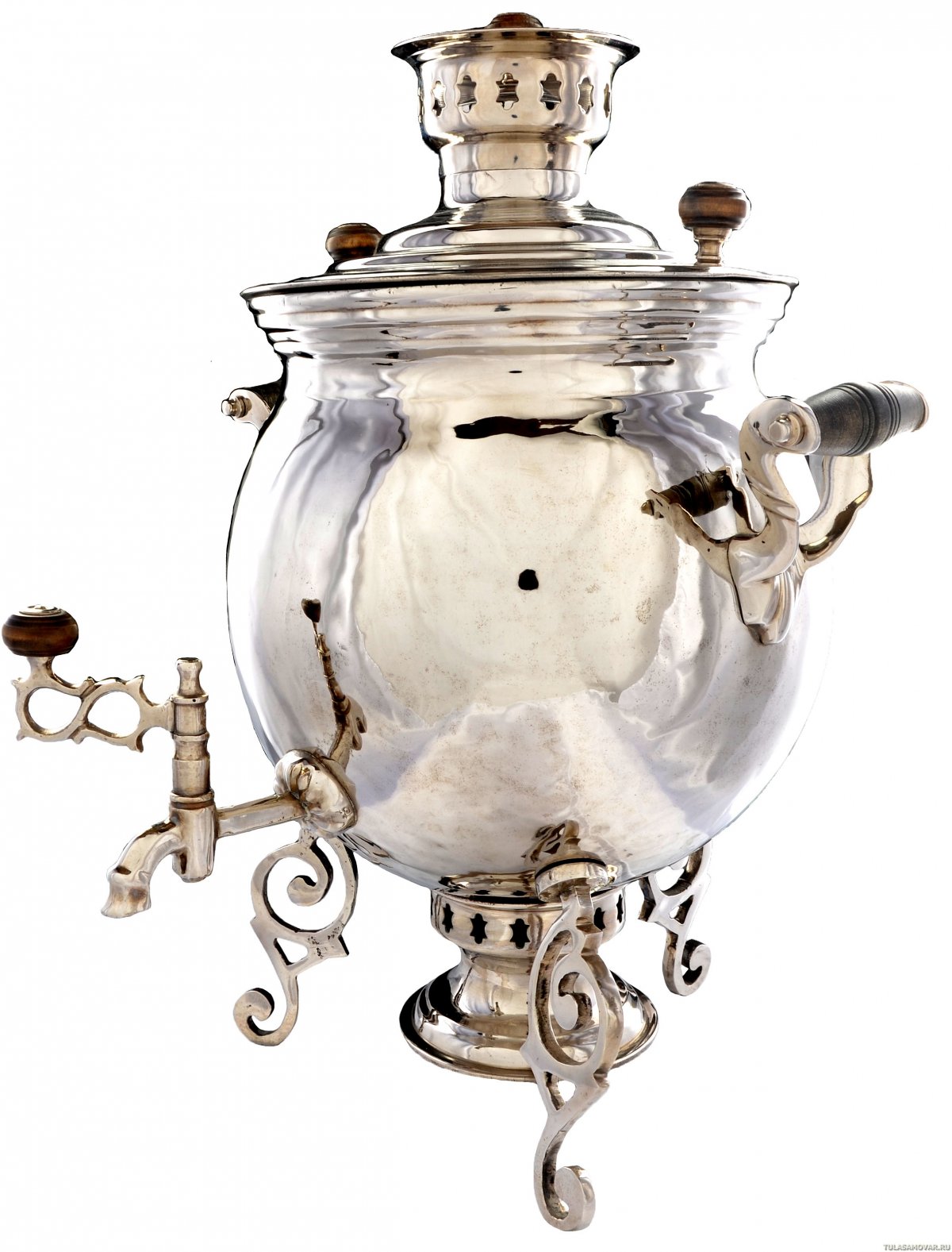 Паук с добычей