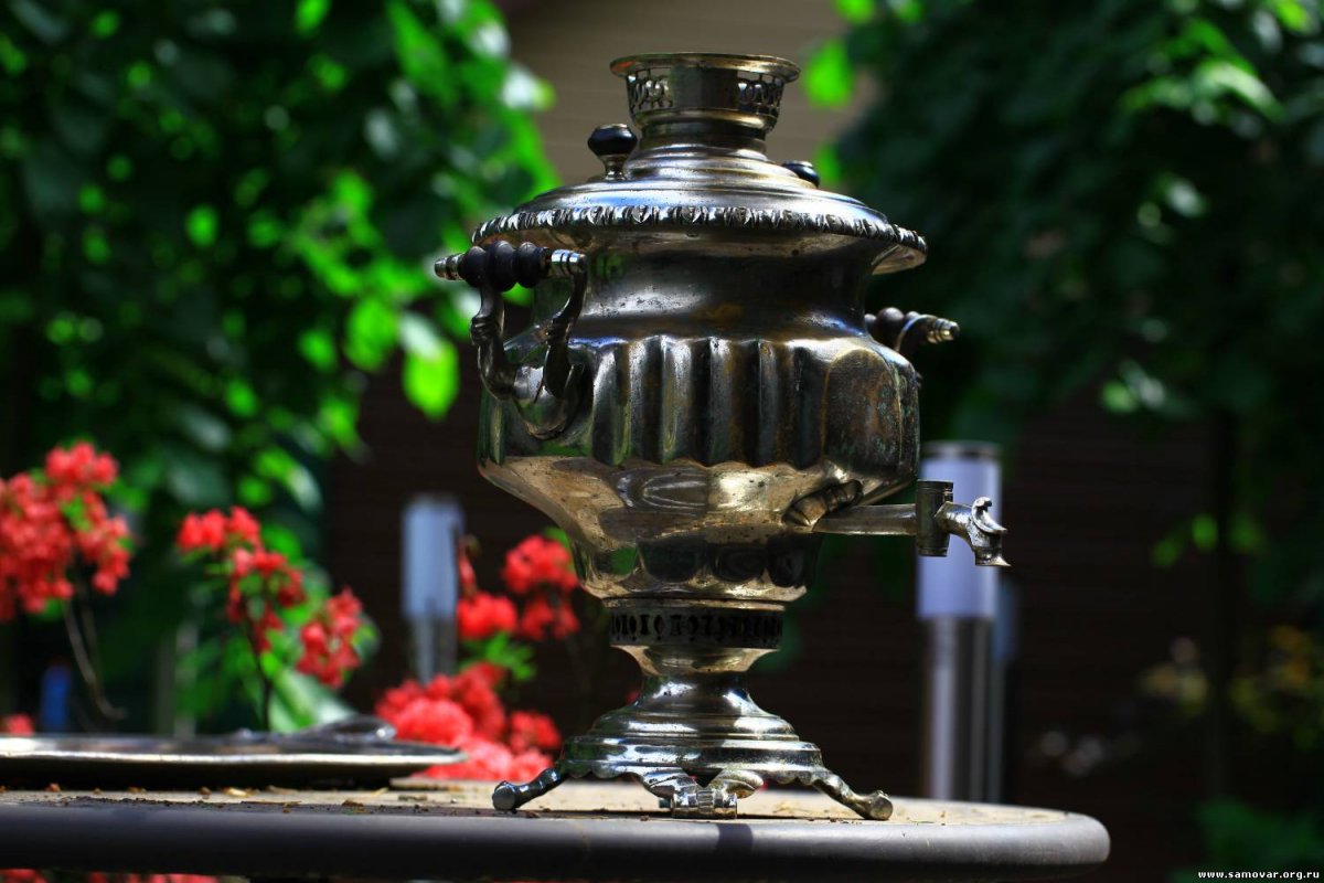 Красивый фон паук