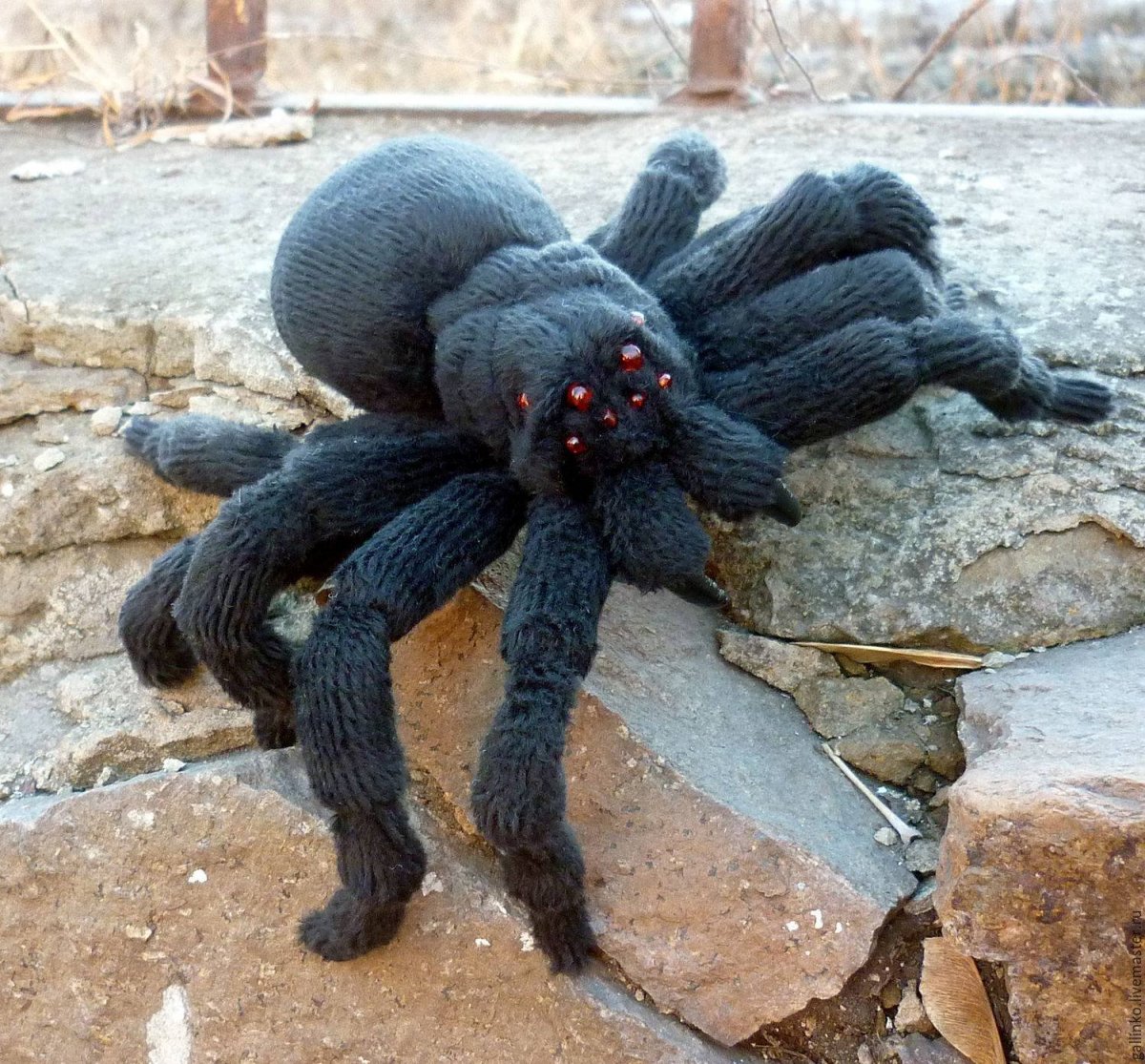 Магический паук