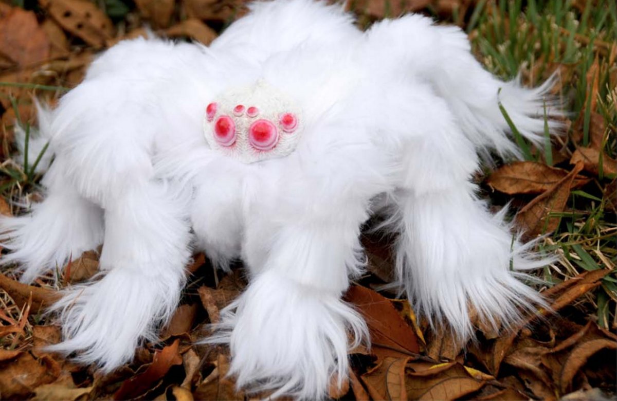 Пушистые паучки