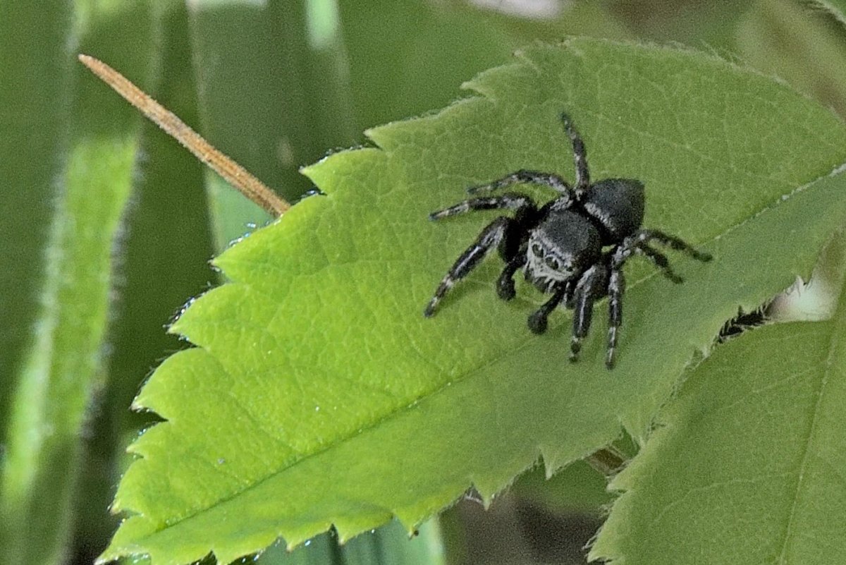 Пакки Кировской области