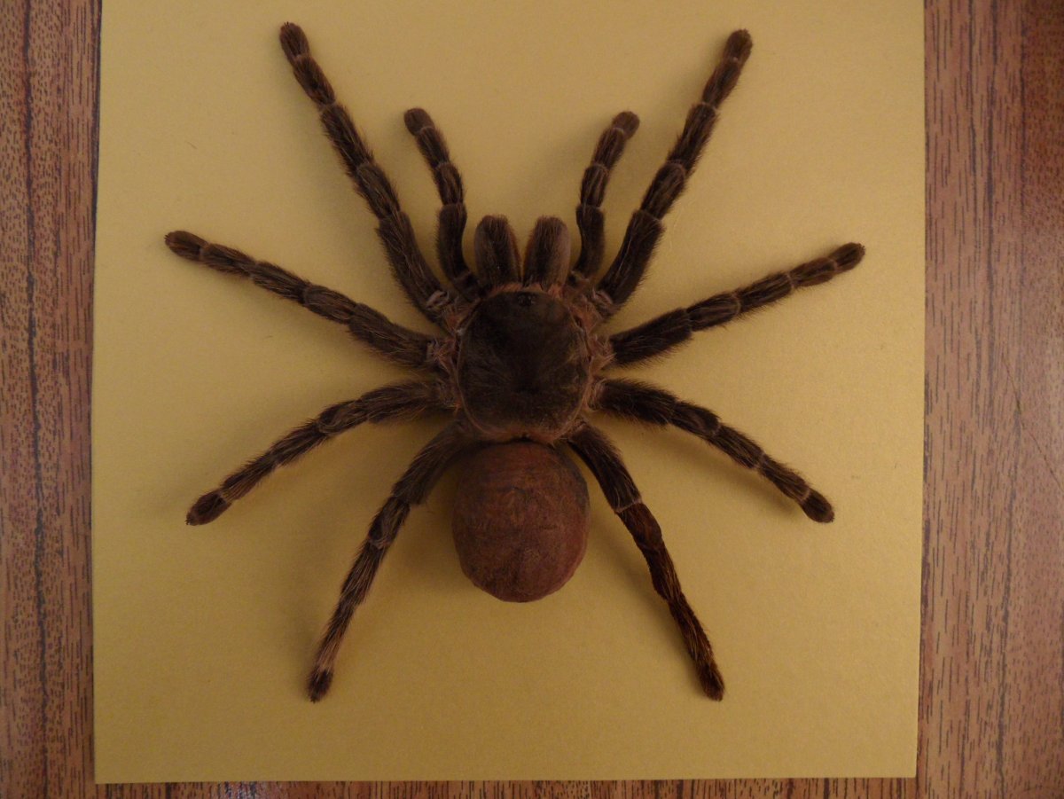 Паук из бисера