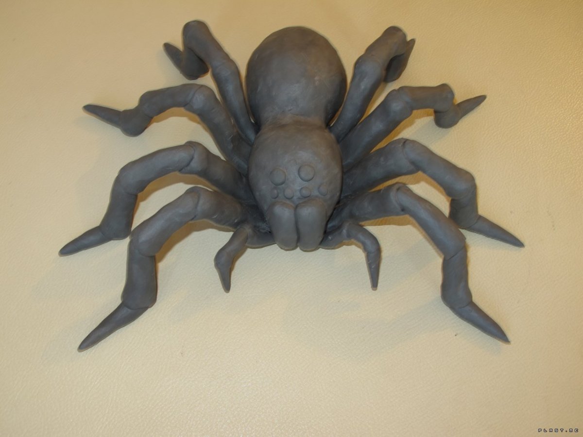 Лепка паучок