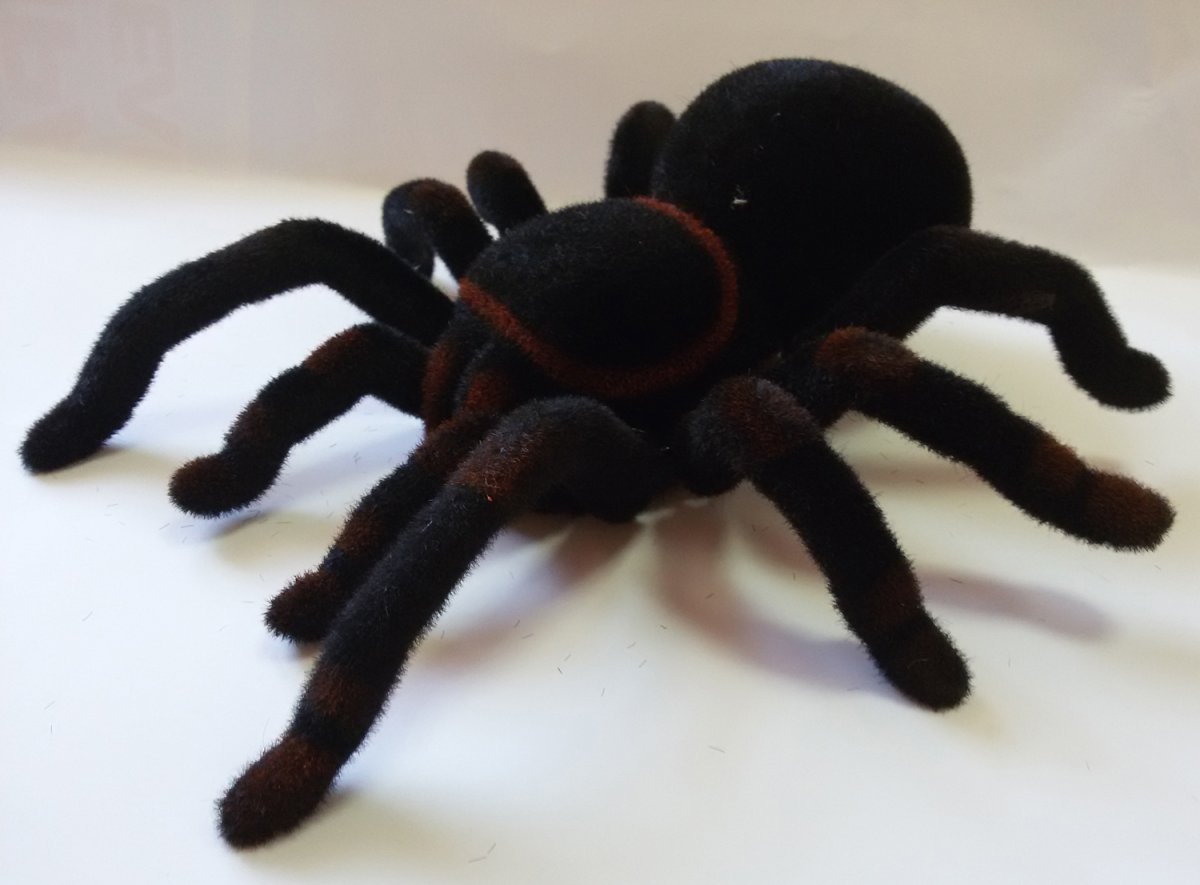 Тарантул игрушка