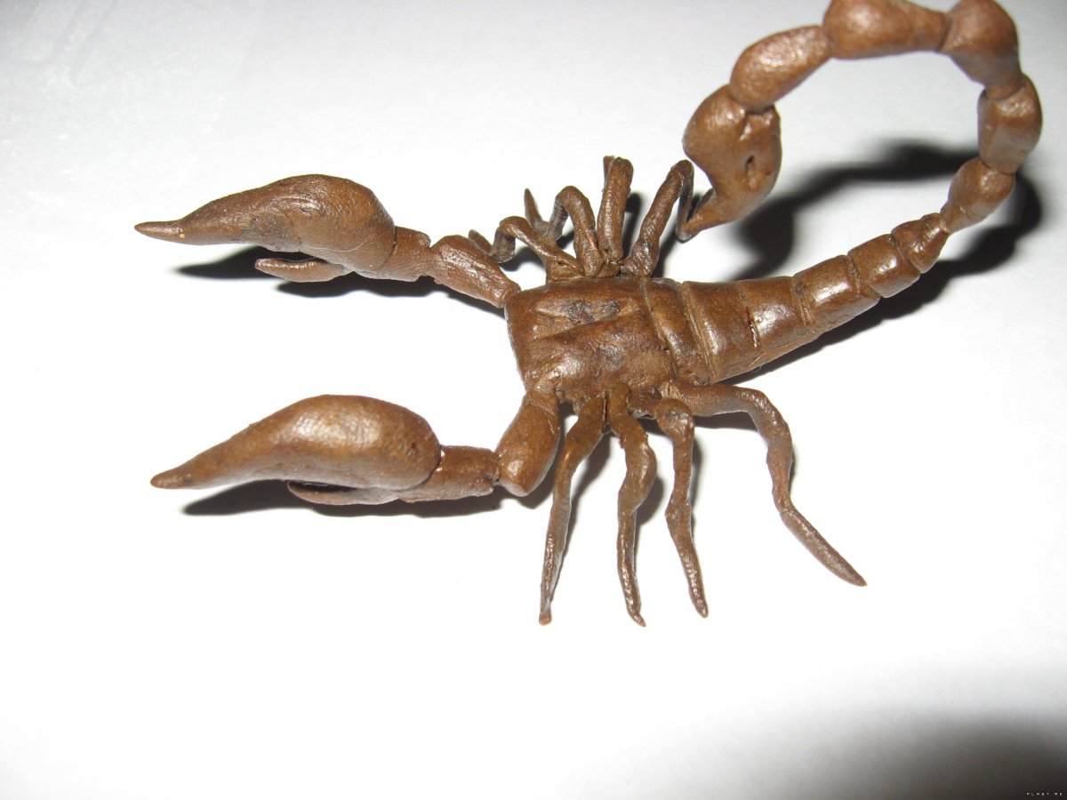 Лепка паука из пластилина