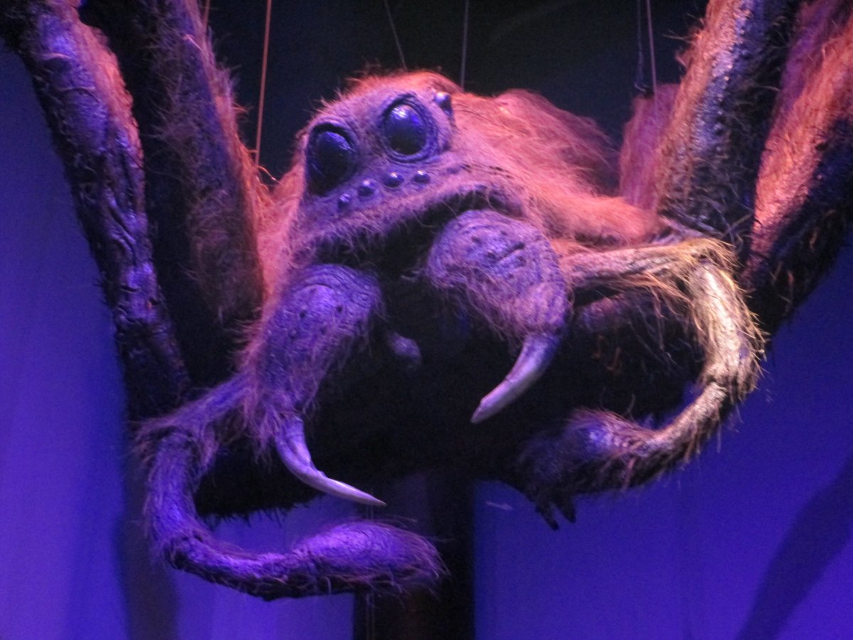 Акромантул Арагог в реальности