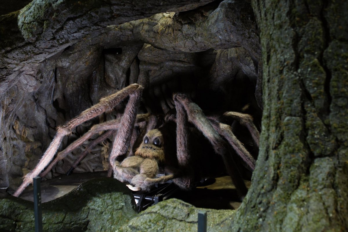 Кладка паука