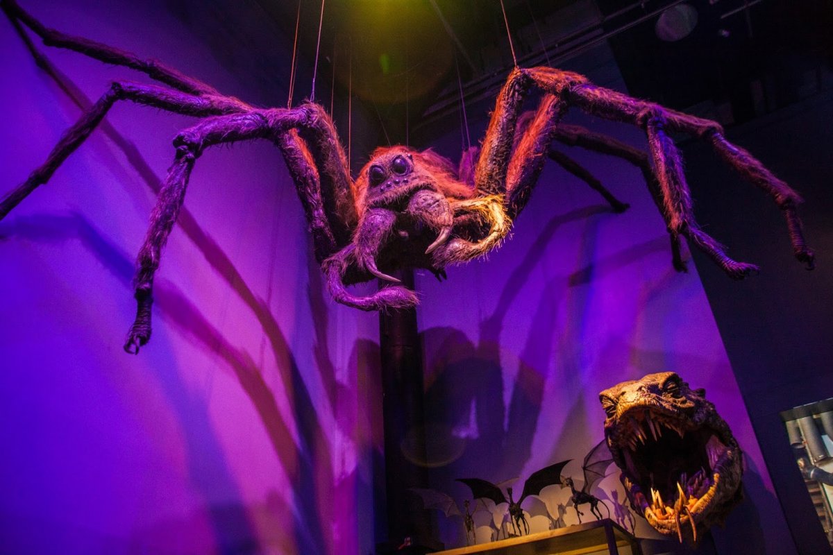 Монстры Гарри Поттера Арагог