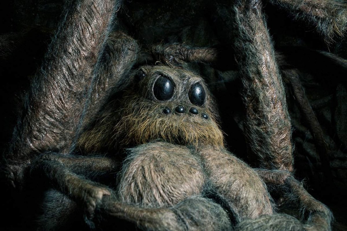 Арагог из Гарри Поттера