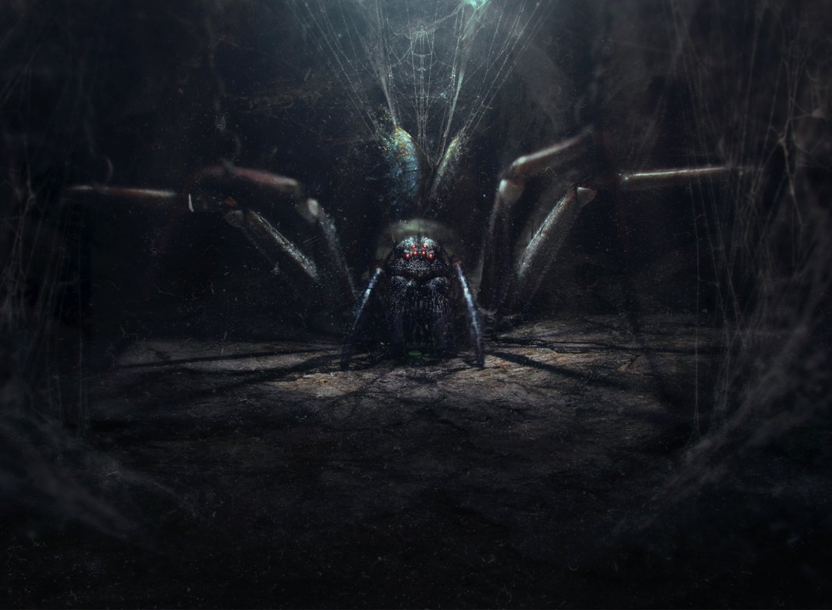 Гигантский паук птицеед в джунглях