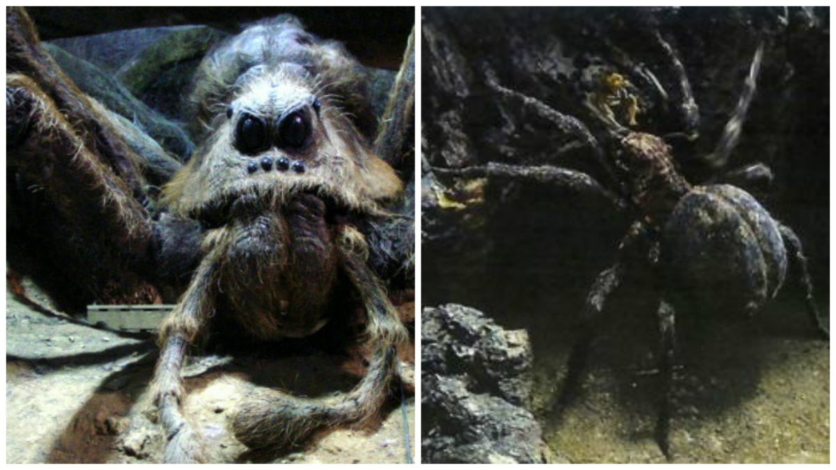 Арагог Гарри Поттер