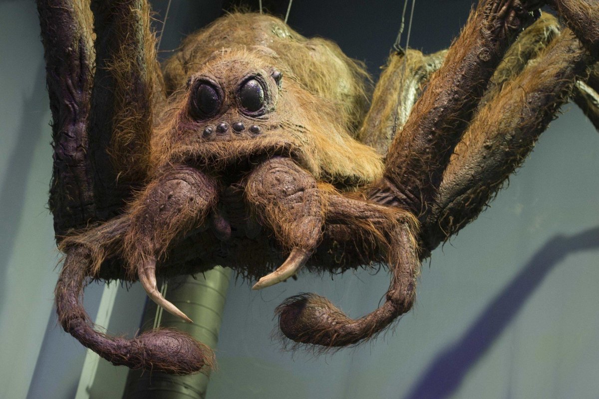 Гарри Поттер паук Арагог