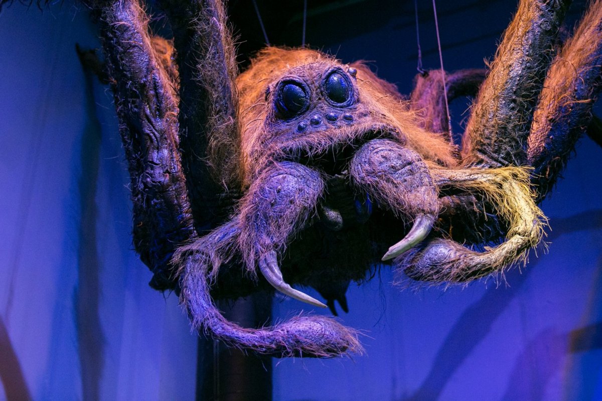 Акромантул существует