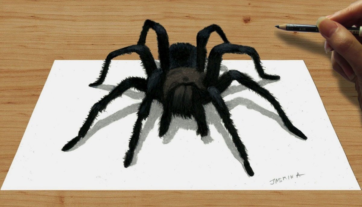 3д паук карандашом