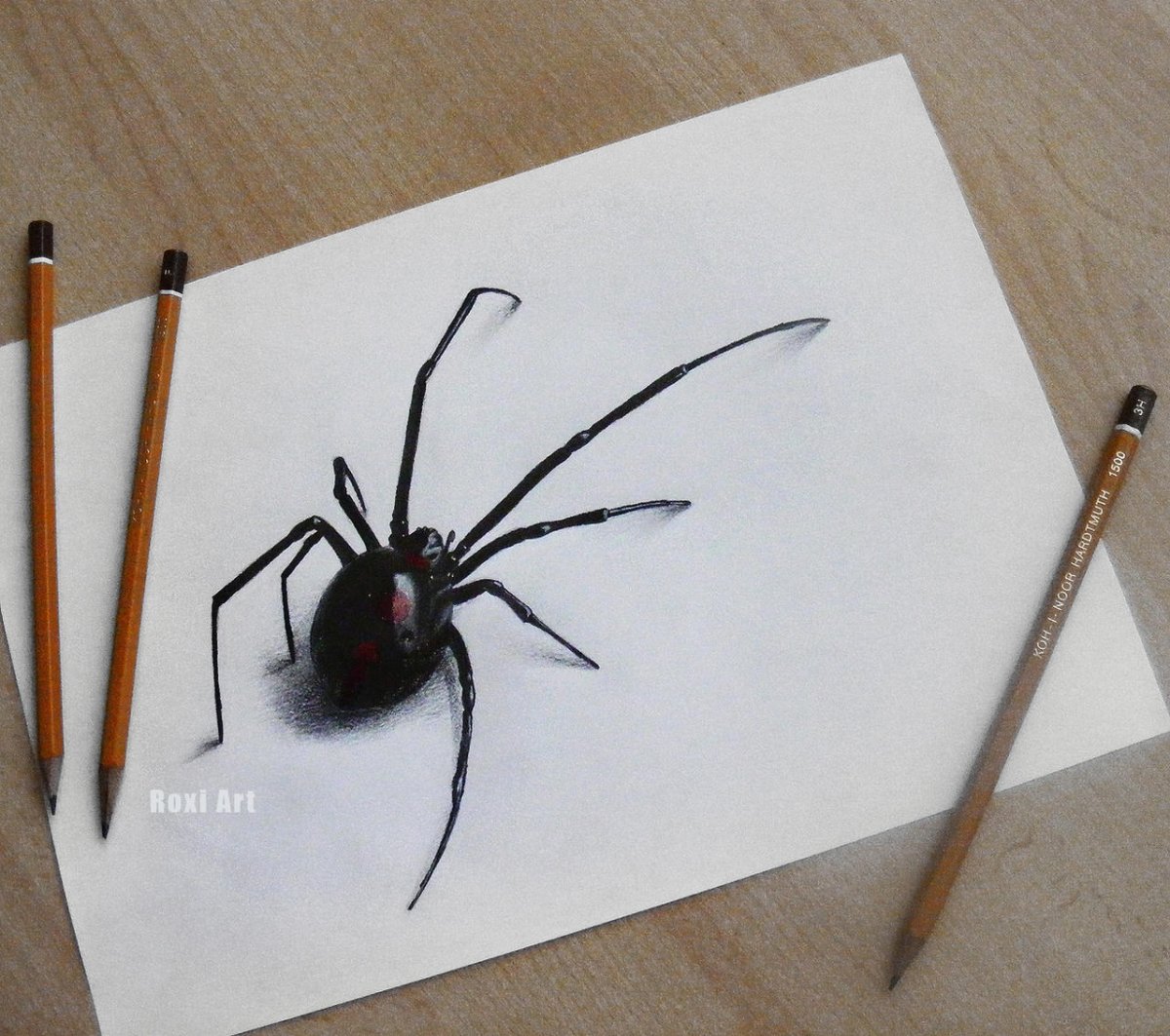 Паук черная вдова карандашом