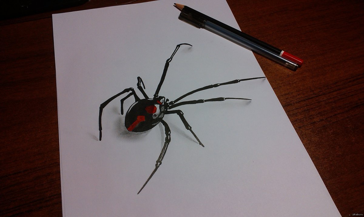 Паук цветными карандашами