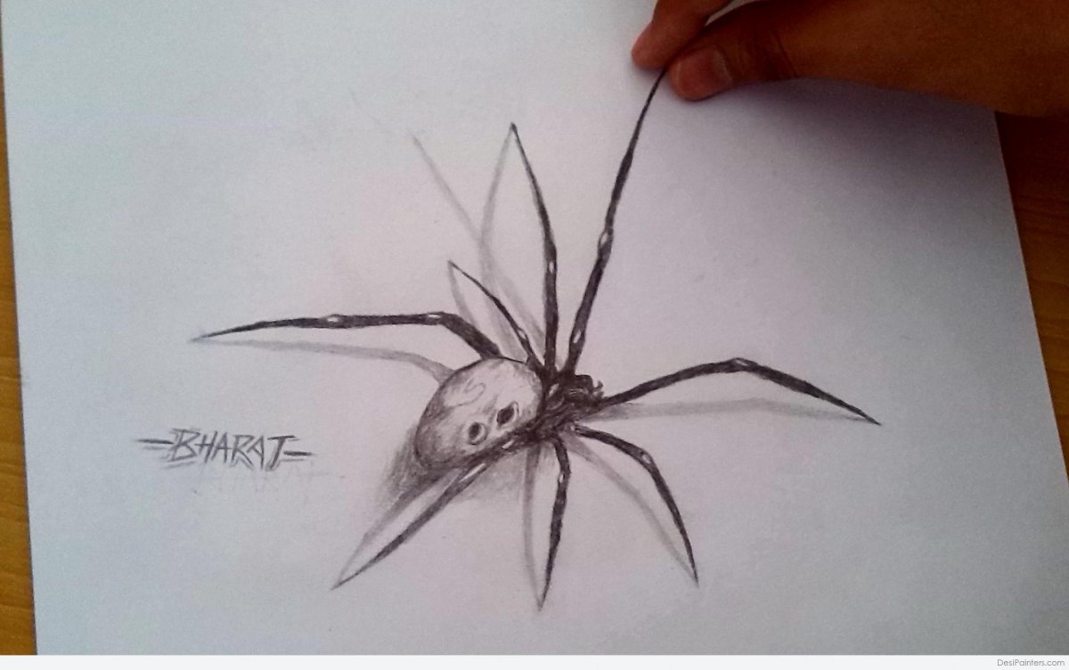 3д паук карандашом