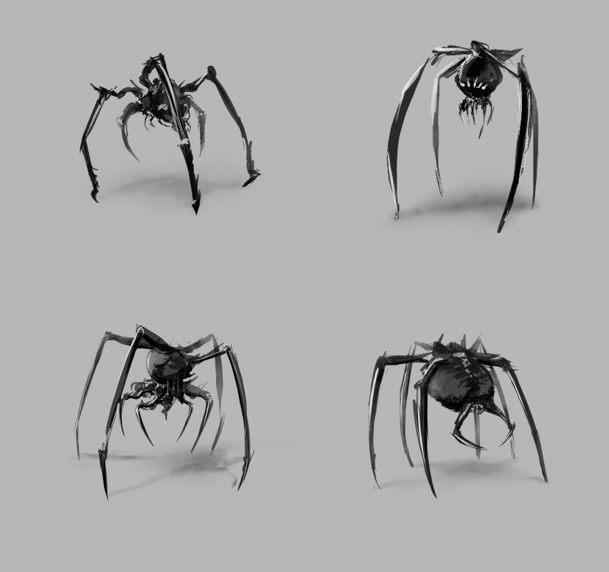 Нарисовать паука тарантула