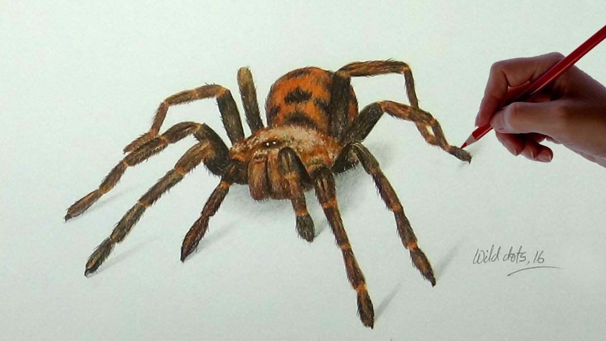 3д паук на бумаге