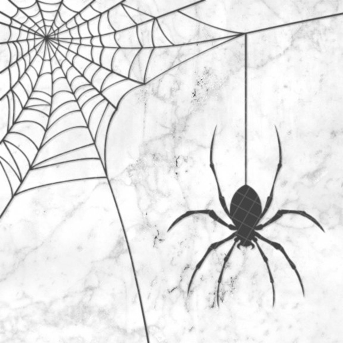 Паук карандашом сверху