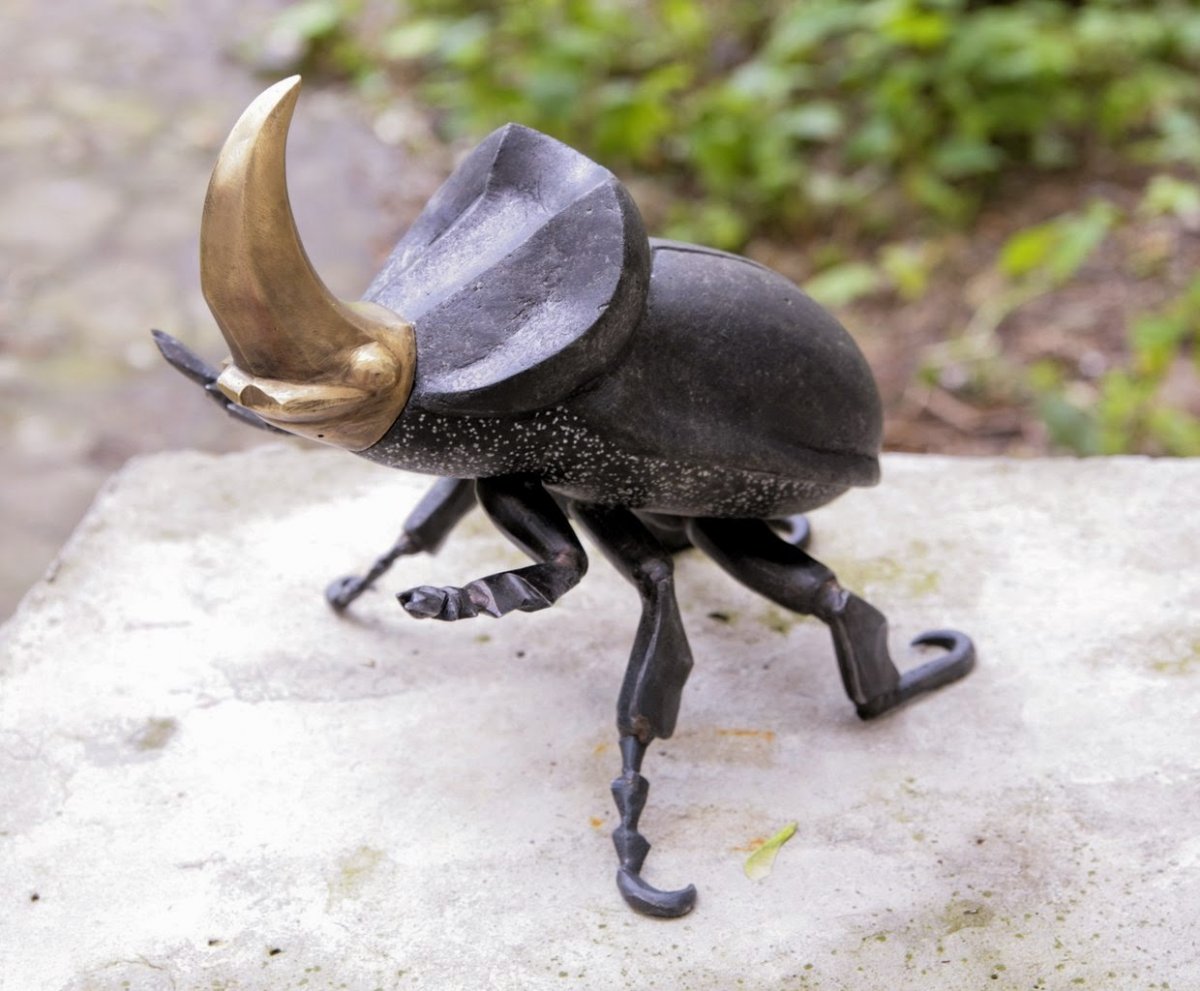 Жук олень битва