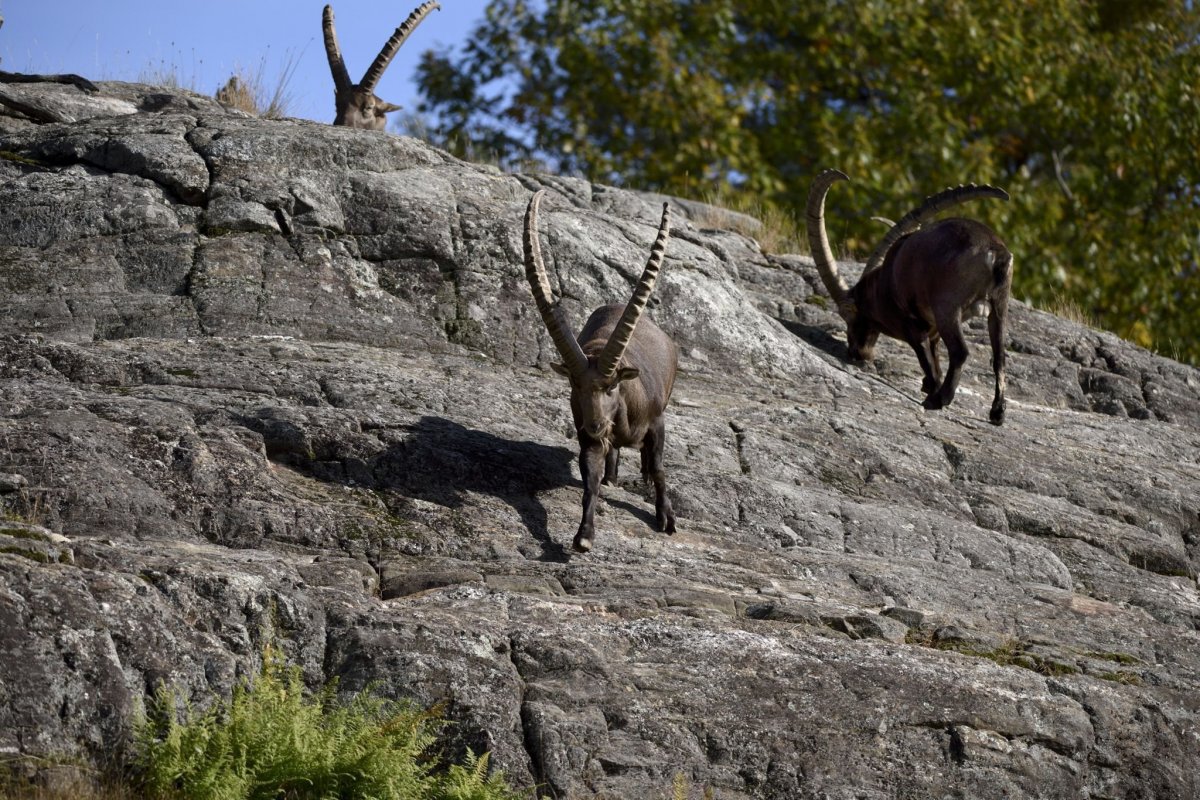 Горный тур на скалах