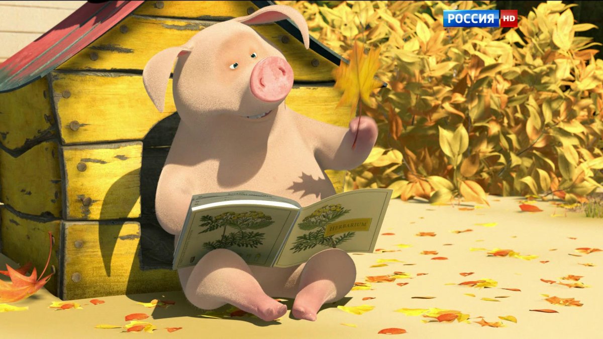 Маша учитель танцев