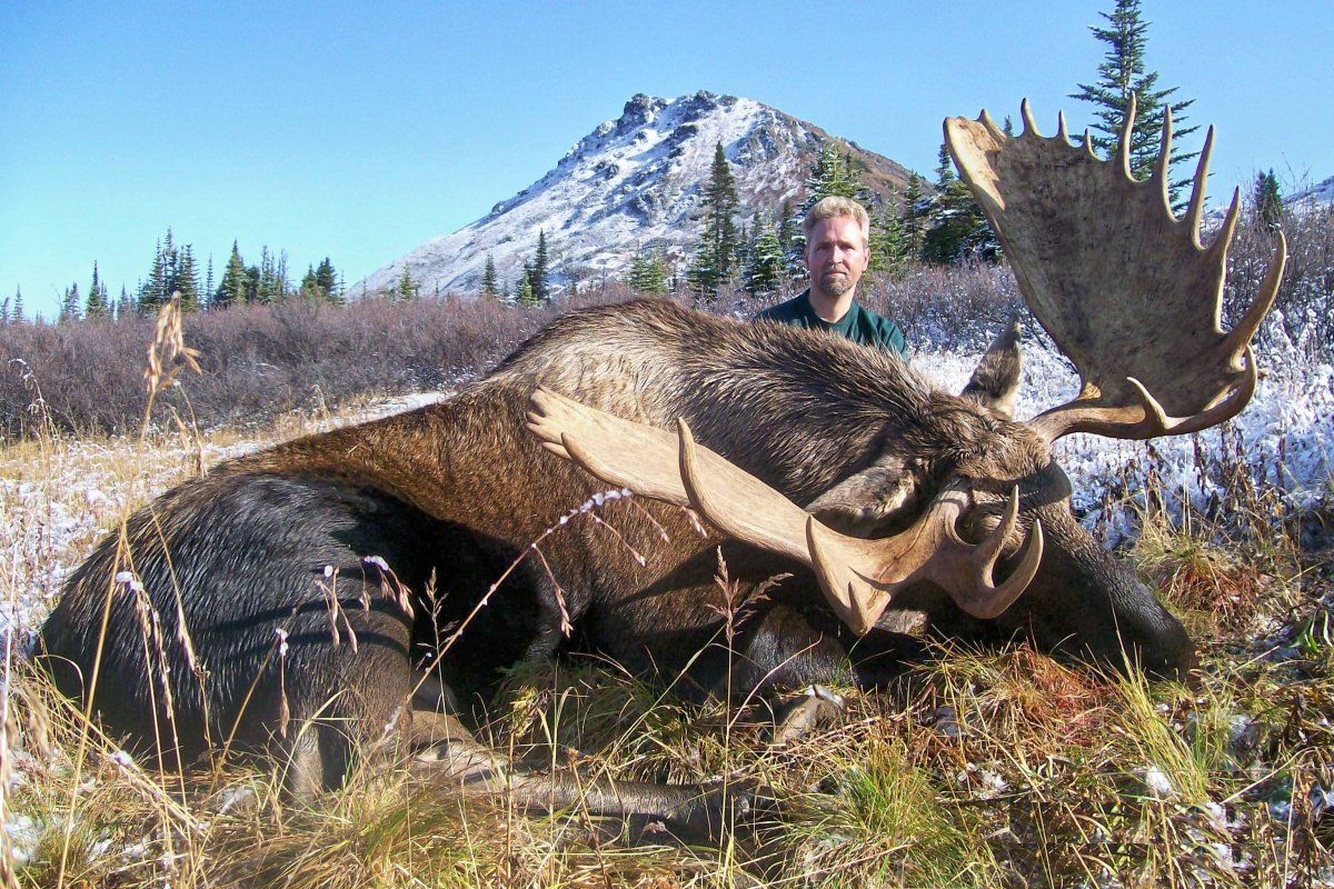 Лось Дальневосточный