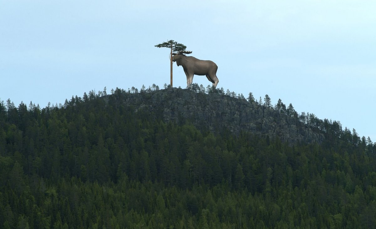 Самые большие Оленьи рога