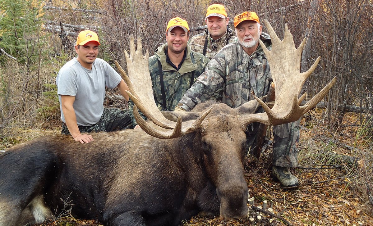 Лось плывет