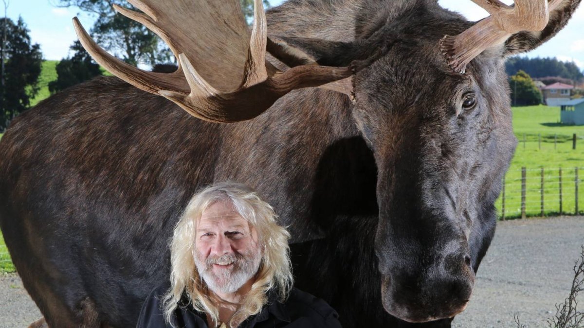 Самый большой Лось в мире рекорд Гиннеса