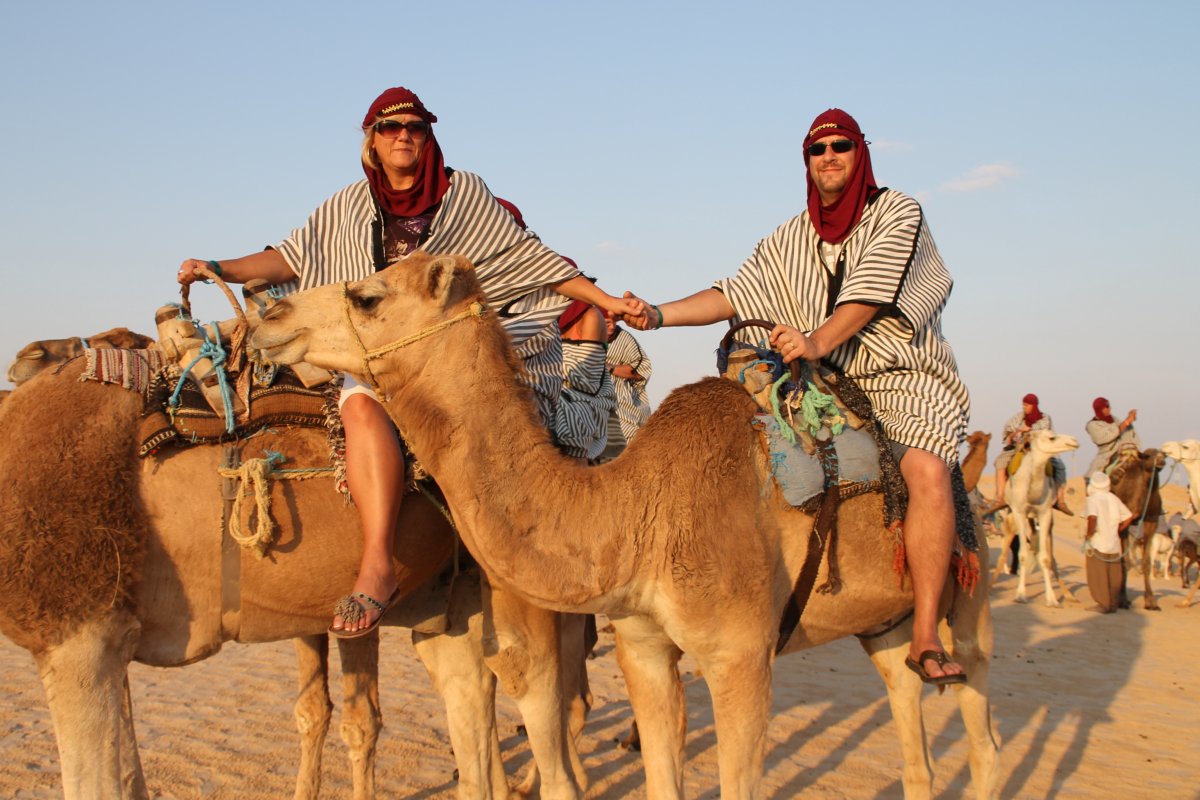 Sahara Camels группа