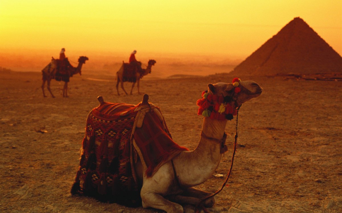 Египет закат Бедуин