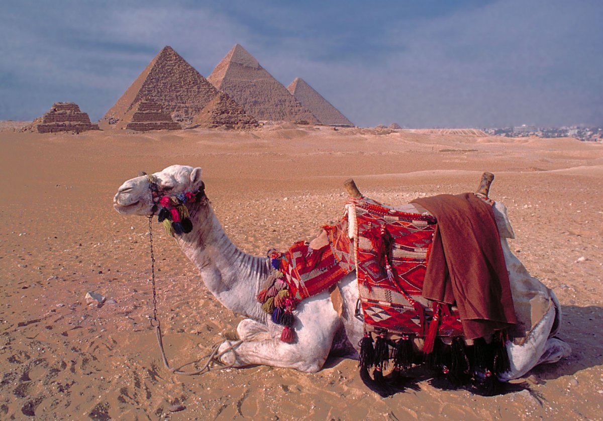 Караван в Египте