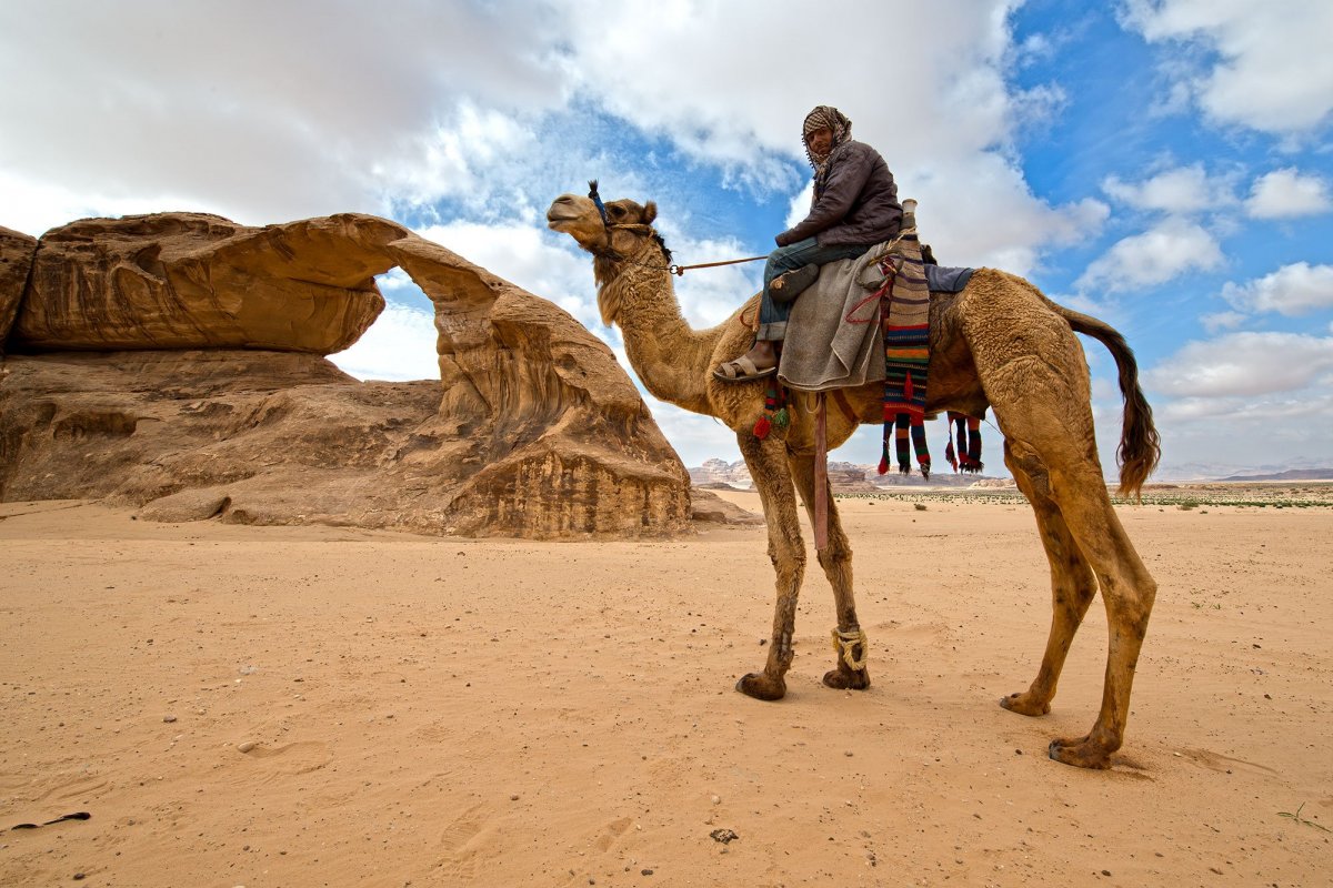 Шармаль Шейх бедуины