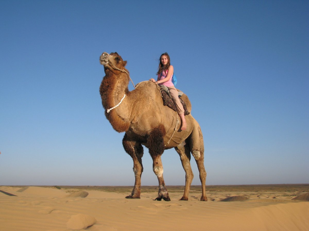 Верхом на верблюде