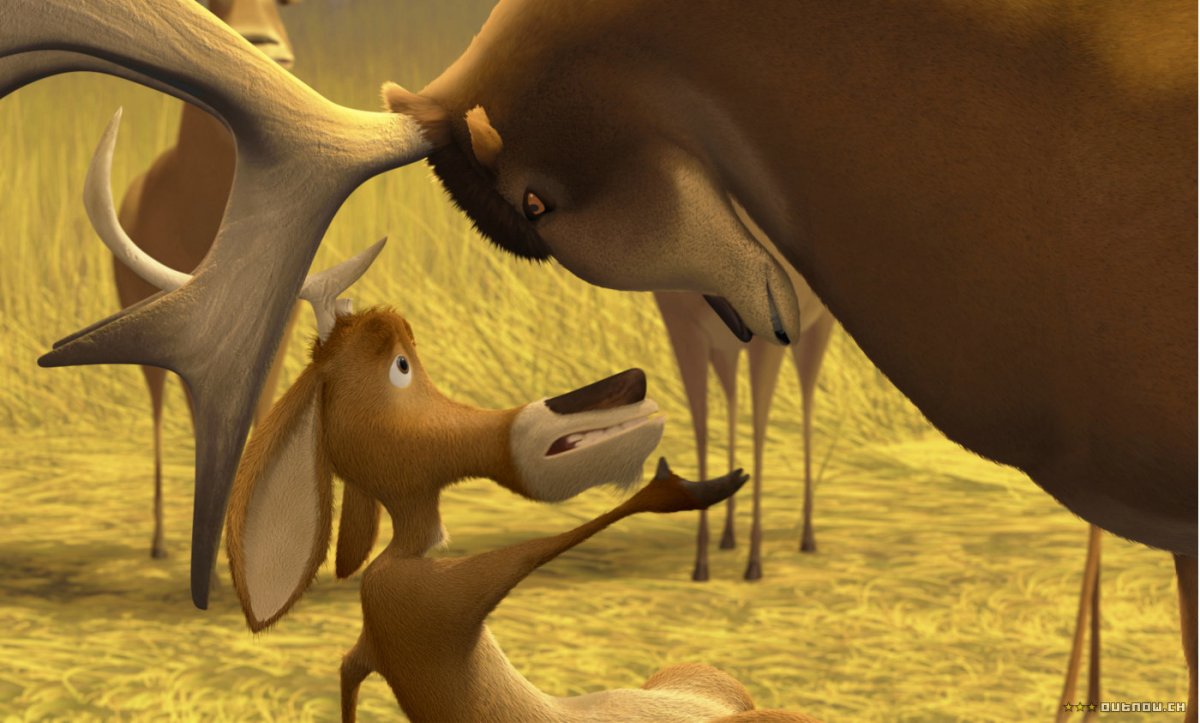 Сезон охоты Ян