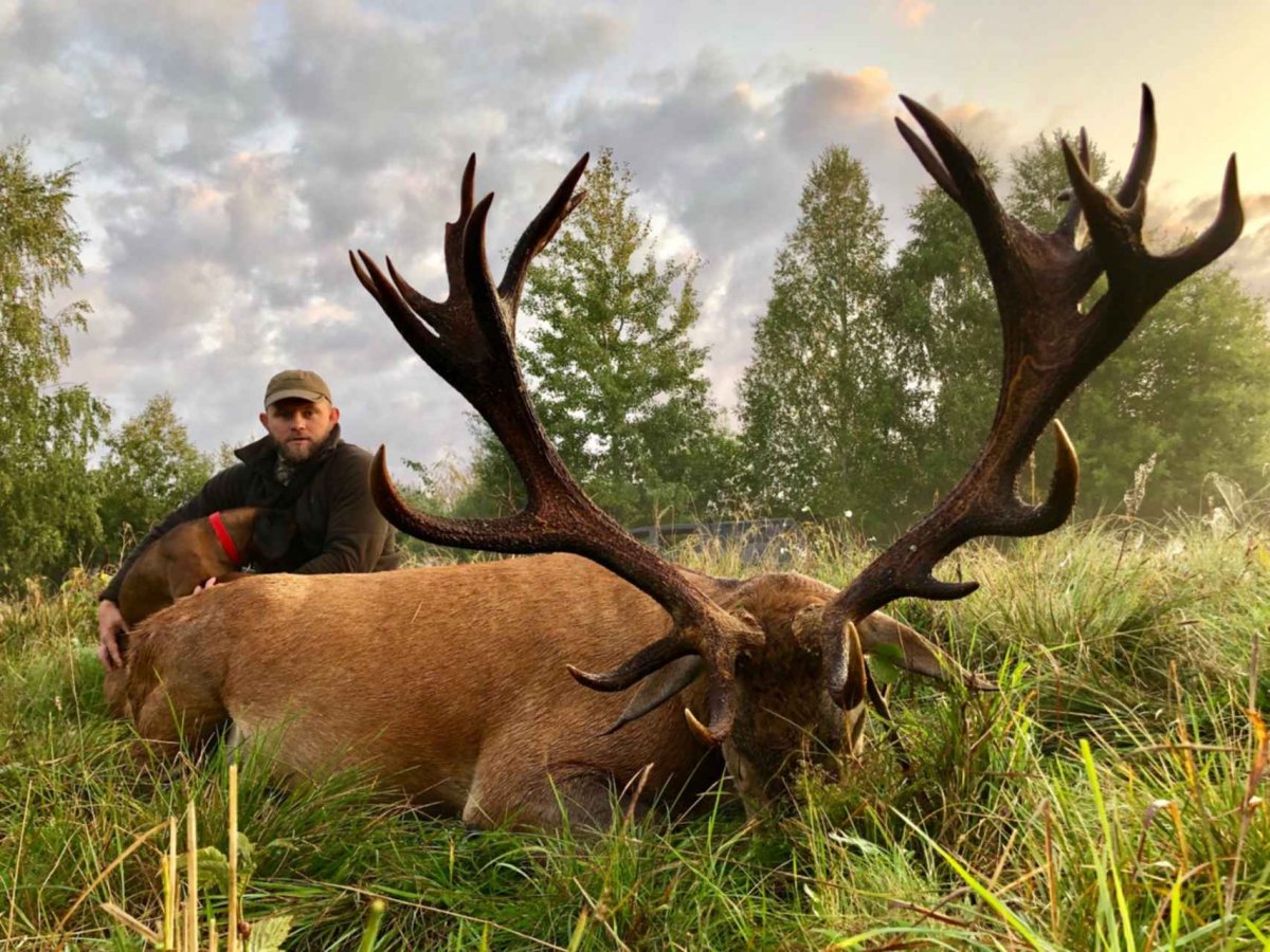 Охота на трофейных оленей