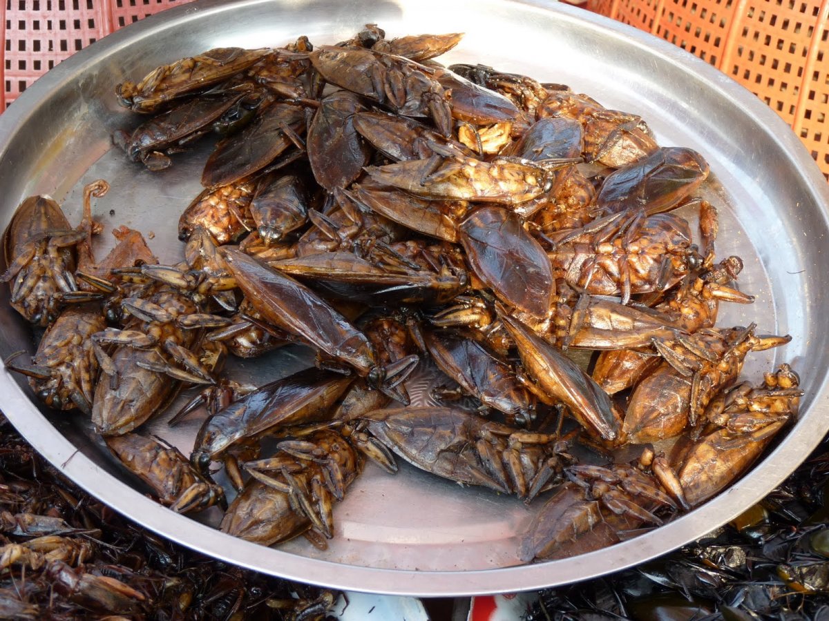 Китайская кухня насекомые