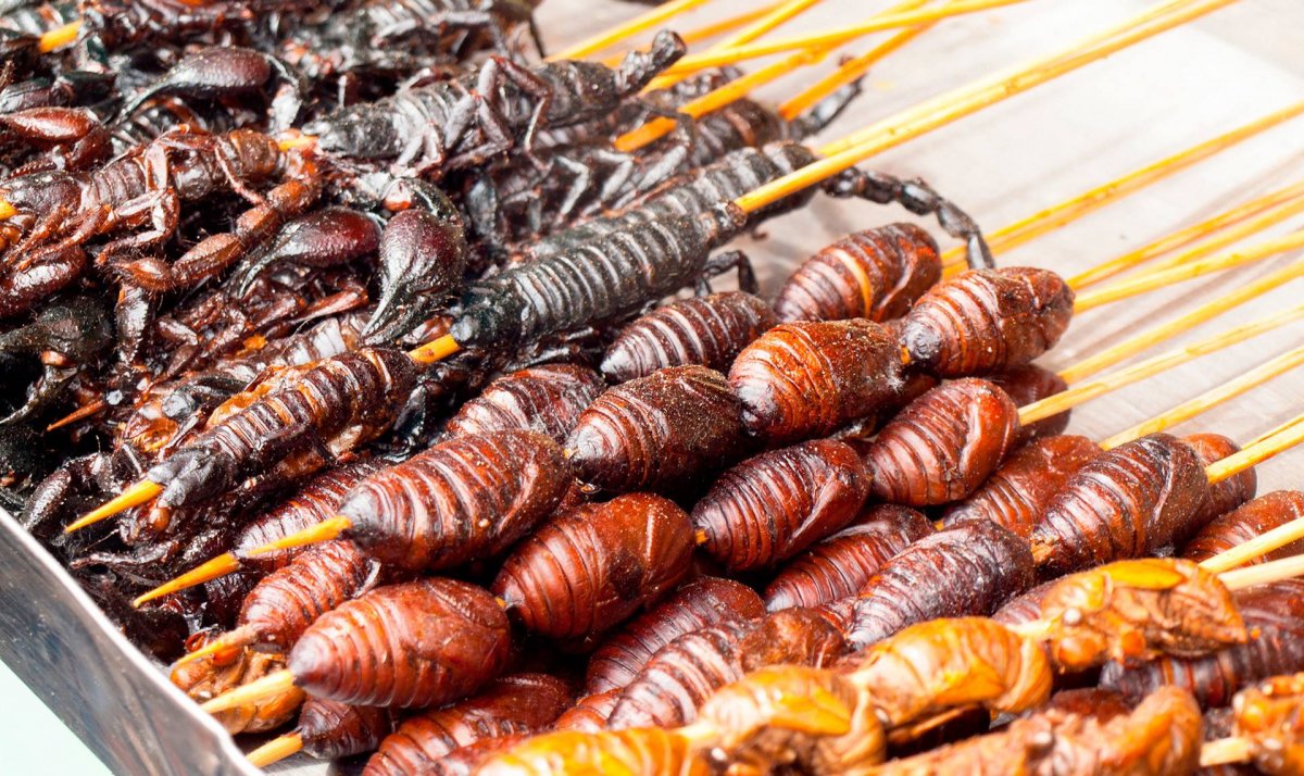 Личинки шелкопряда Китай шашлык