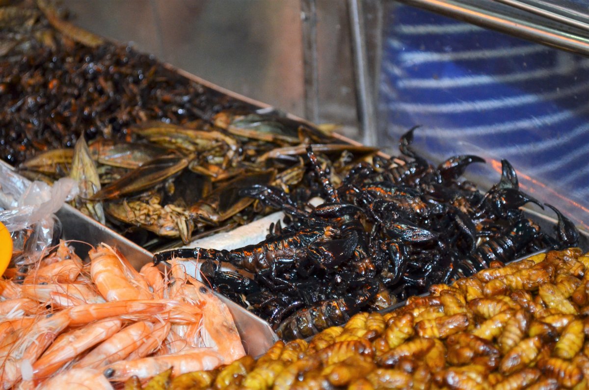 Личинки в хлебе