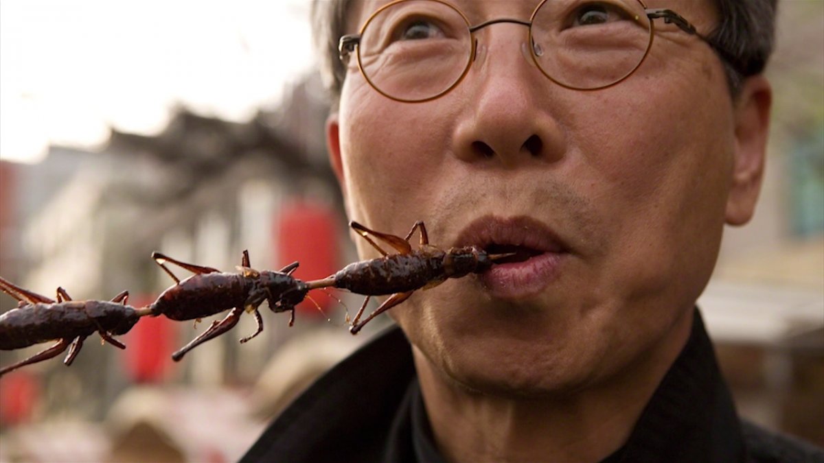 Жареные насекомые