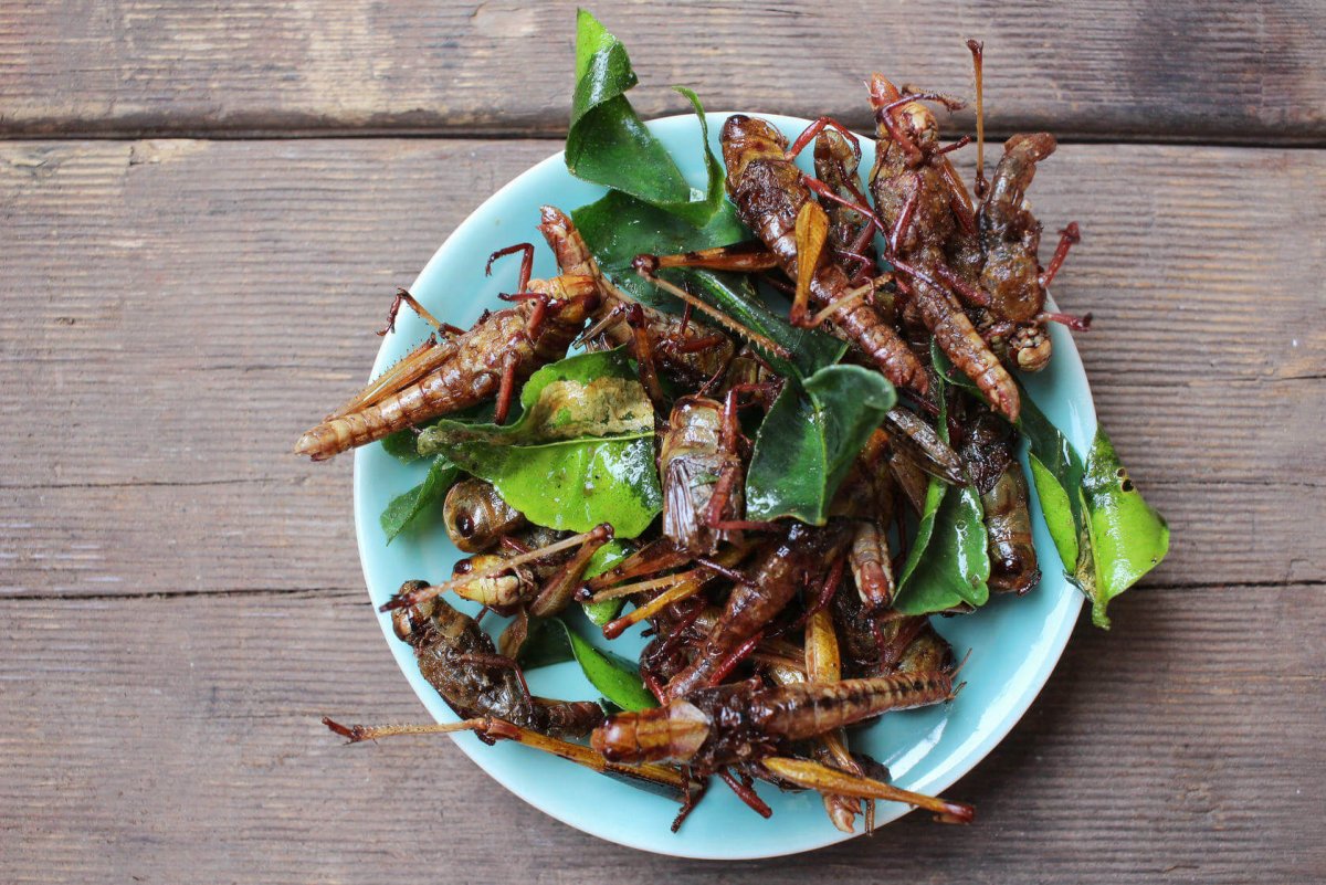 Тараканы блюдо