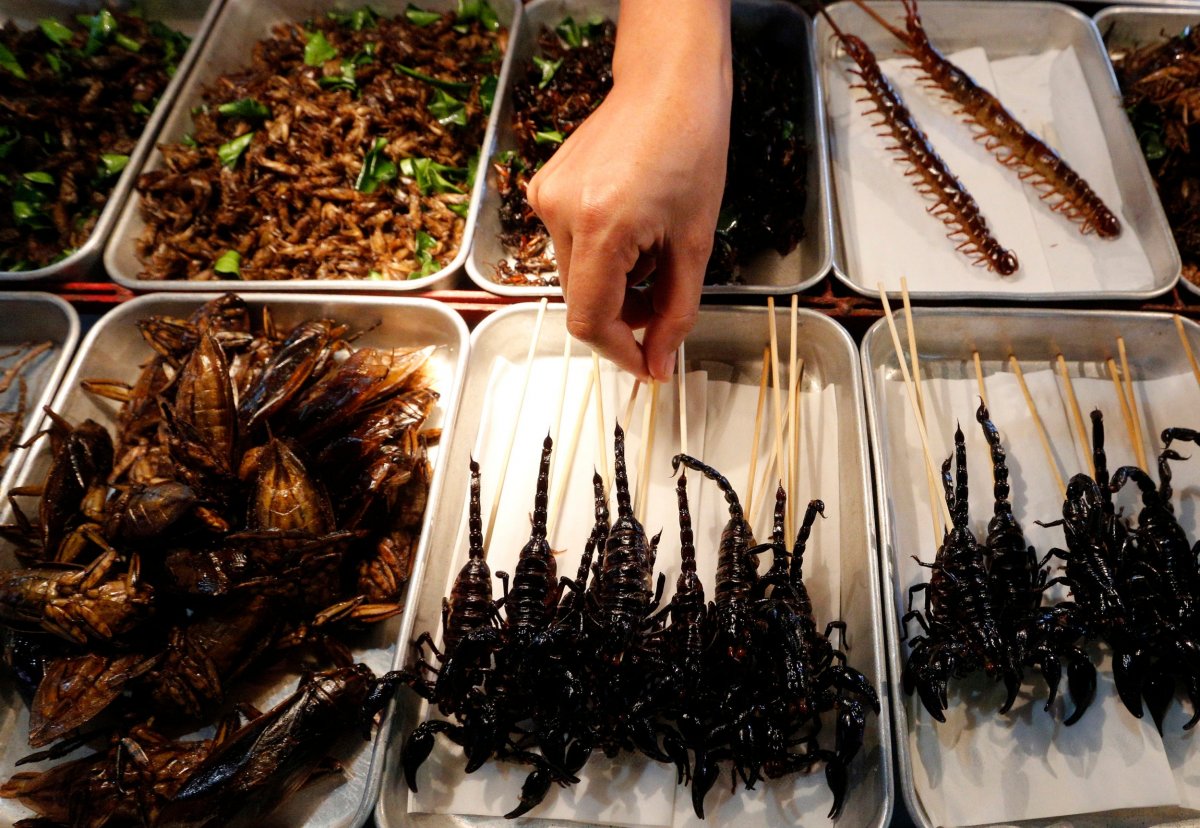 Таракан в тарелке